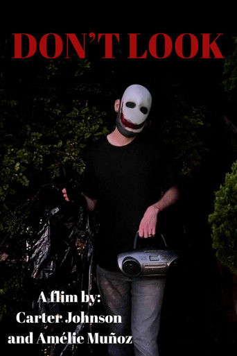 Poster for Don't Look