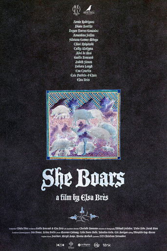 Poster for She Boars