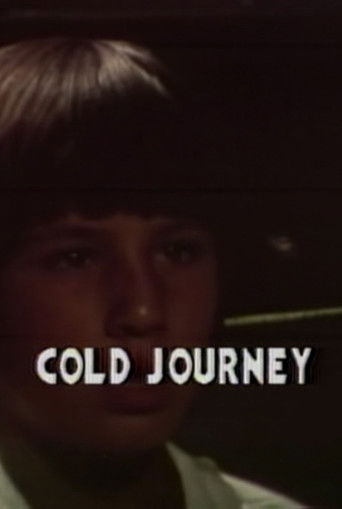 Poster for Cold Journey