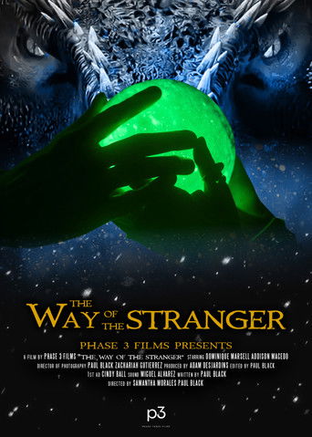 Poster for The Way of the Stranger