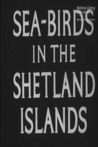 Poster for Seabirds in the Shetland Islands