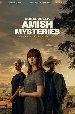 Poster for Sugarcreek Amish Mysteries: Blessings in Disguise
