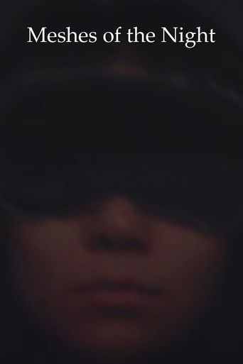 Poster for Meshes Of The Night