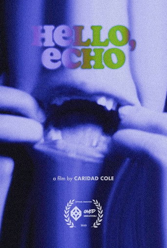 Poster for Hello, Echo