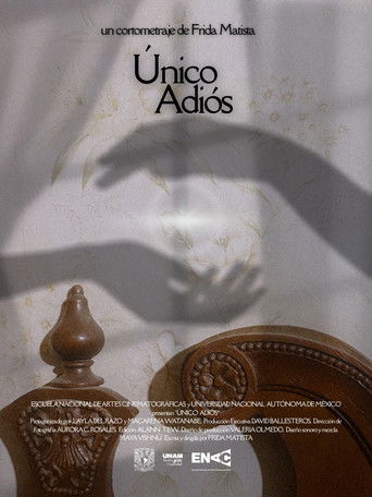 Poster for The Last Goodbye
