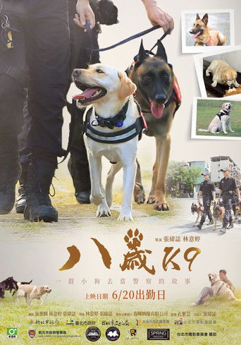 Poster for K9