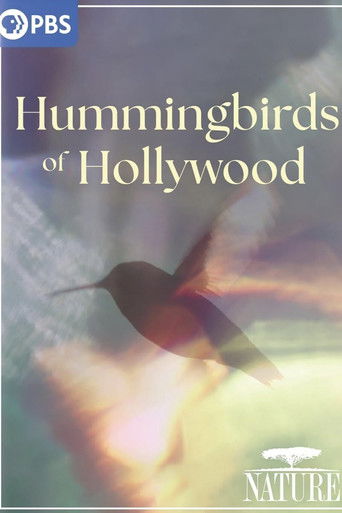 Poster for Hummingbirds of Hollywood