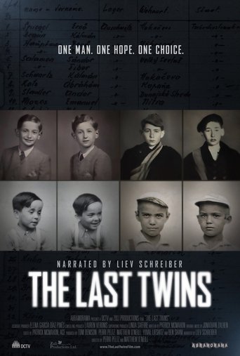 Poster for The Last Twins