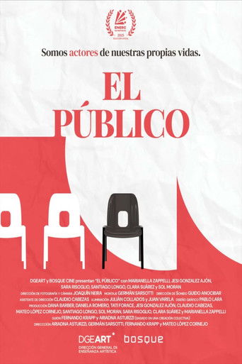 Poster for The public