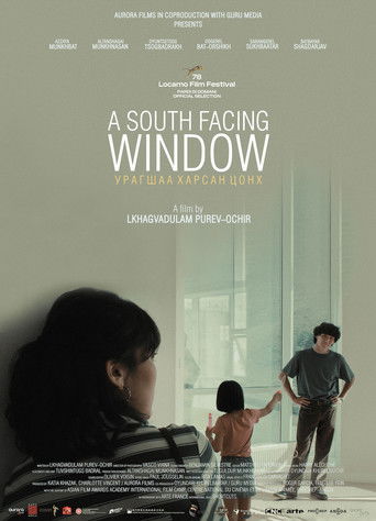 Poster for A South Facing Window