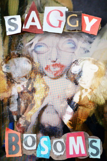 Poster for Saggy Bosoms
