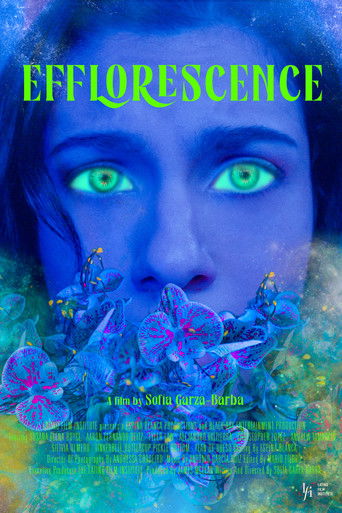 Poster for Efflorescence