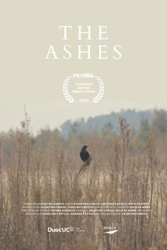 Poster for The Ashes