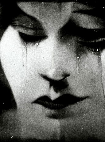 Poster for The Stolen MooM
