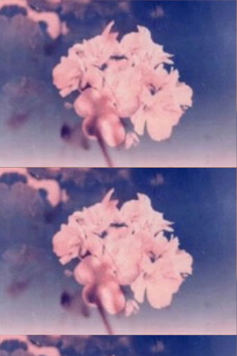 Poster for Wild Flower