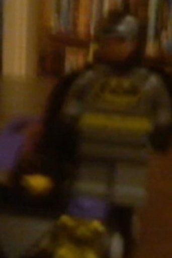 Poster for Lego batman saves the day