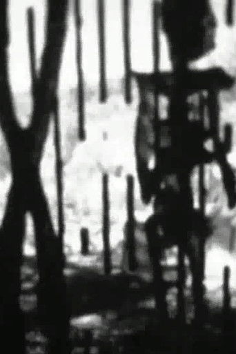 Poster for Feature Presentation