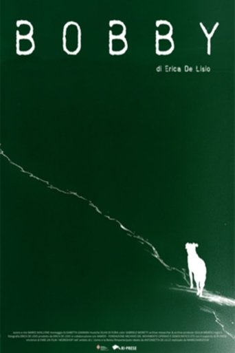 Poster for Bobby