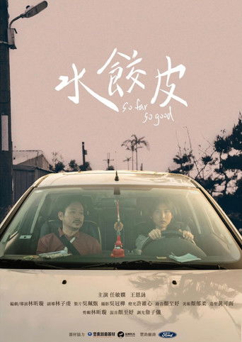 Poster for So Far So Good