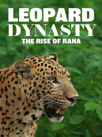 Poster for Leopard Dynasty – The Rise of Rana