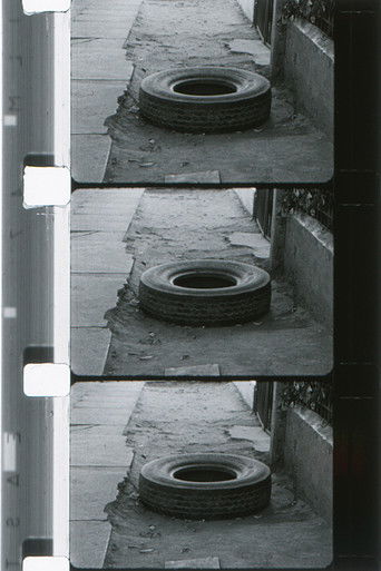 Poster for El Cortijo
