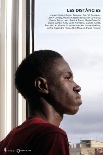 Poster for The distances