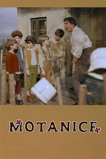 Poster for Motanice