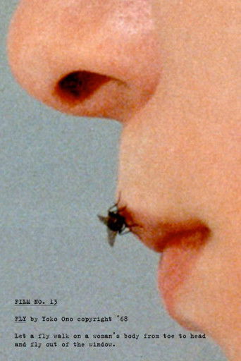 Poster for Fly