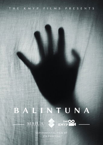 Poster for Balintuna