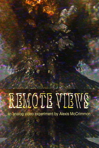 Poster for Remote Views