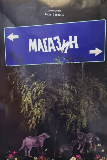 Poster for The Store