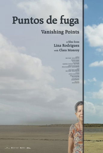 Poster for Vanishing Points