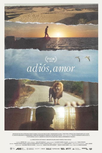 Poster for Goodbye, Love