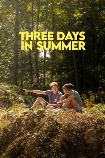 Poster for Three Days in Summer
