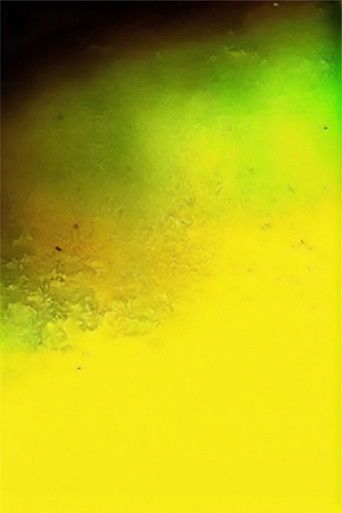 Poster for Translation Series