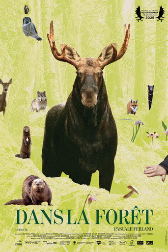Poster for In the Forest