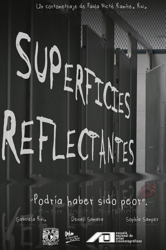 Poster for Reflective Surfaces