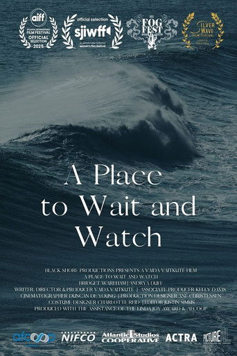 Poster for A Place to Wait and Watch