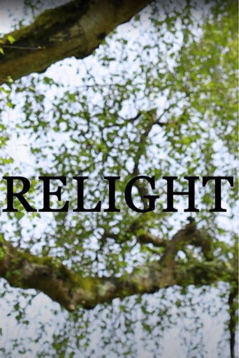Poster for Relight