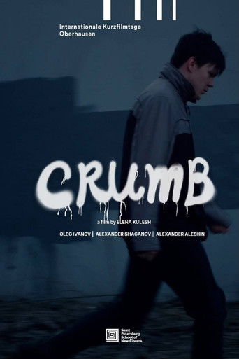 Poster for Crumb
