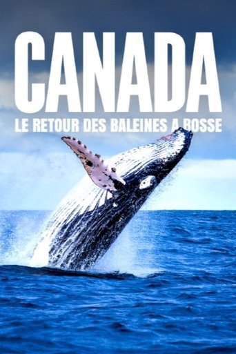 Poster for Le retour des baleines à bosse