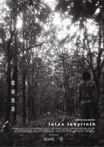 Poster for Latex Labyrinth