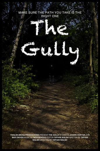 Poster for The Gully