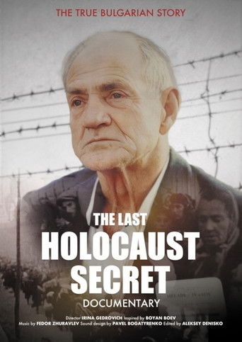 Poster for The Last Holocaust Secret