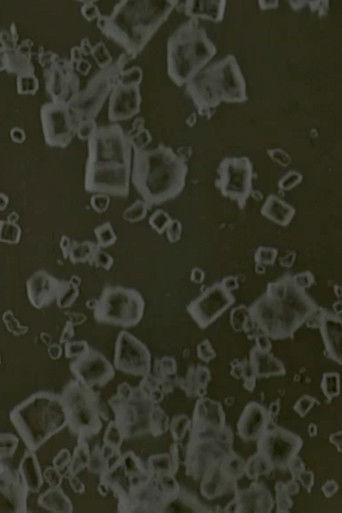 Poster for Foodfilms