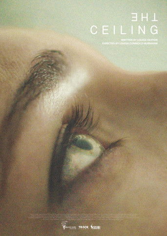 Poster for The Ceiling