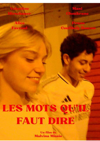 Poster for Les mots qu'il faut dire