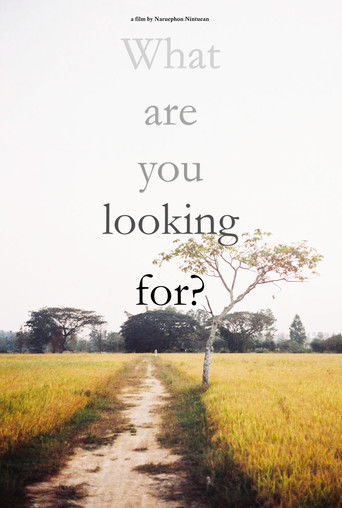 Poster for What are you looking for?
