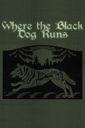 Poster for Where the Black Dog Runs