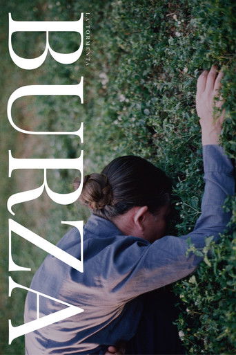 Poster for Burza